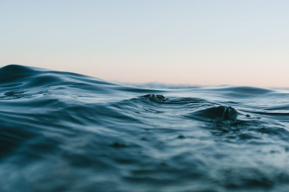 For A Cleaner Ocean