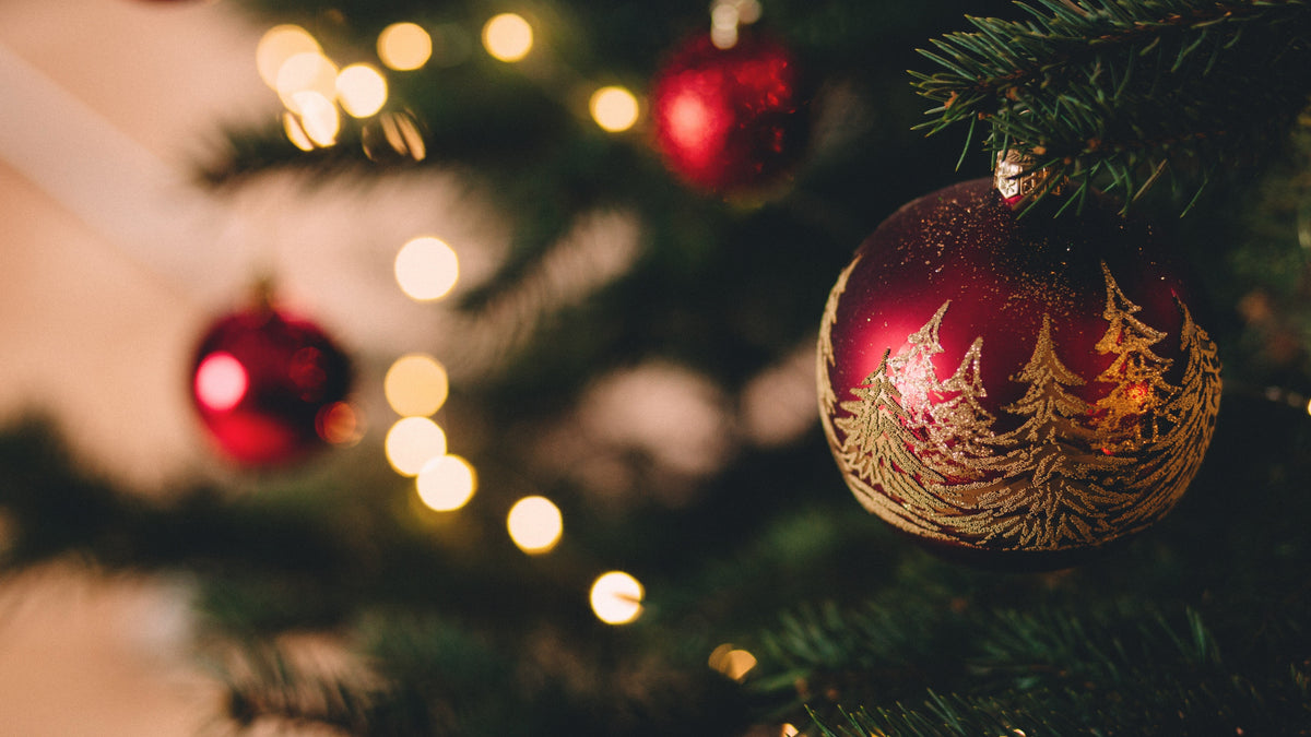 Vegan Heart-Warming Christmas